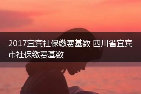 2017宜宾社保缴费基数 四川省宜宾市社保缴费基数