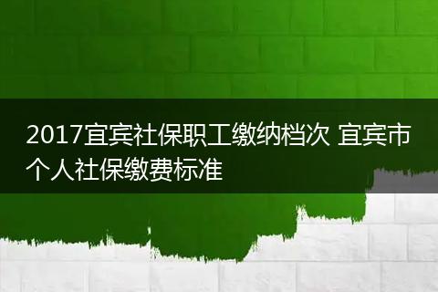 2017宜宾社保职工缴纳档次 宜宾市个人社保缴费标准