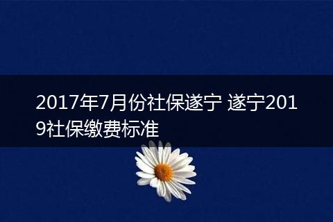 2017年7月份社保遂宁 遂宁2019社保缴费标准