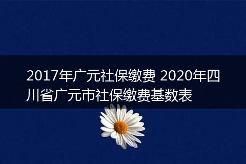2017年广元社保缴费 2020年四川省广元市社保缴费基数表