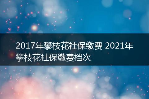 2017年攀枝花社保缴费 2021年攀枝花社保缴费档次