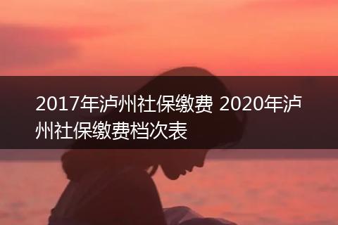 2017年泸州社保缴费 2020年泸州社保缴费档次表