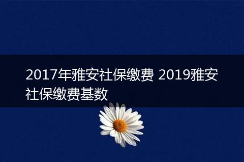 2017年雅安社保缴费 2019雅安社保缴费基数