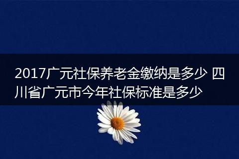 2017广元社保养老金缴纳是多少 四川省广元市今年社保标准是多少