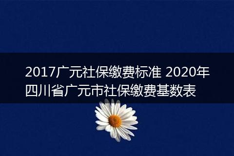 2017广元社保缴费标准 2020年四川省广元市社保缴费基数表