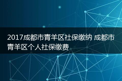2017成都市青羊区社保缴纳 成都市青羊区个人社保缴费