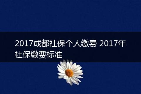 2017成都社保个人缴费 2017年社保缴费标准