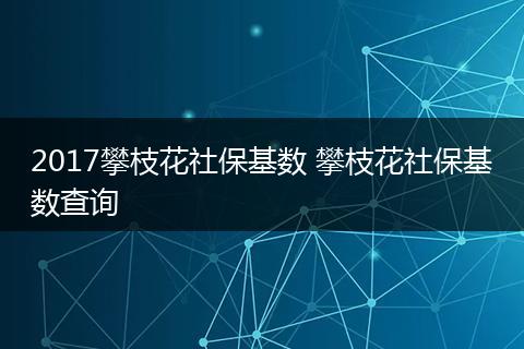 2017攀枝花社保基数 攀枝花社保基数查询