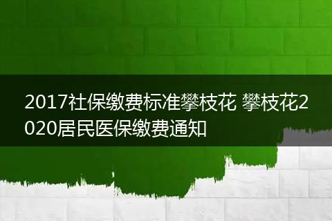 2017社保缴费标准攀枝花 攀枝花2020居民医保缴费通知
