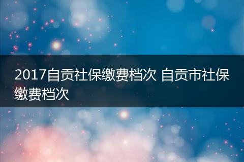 2017自贡社保缴费档次 自贡市社保缴费档次