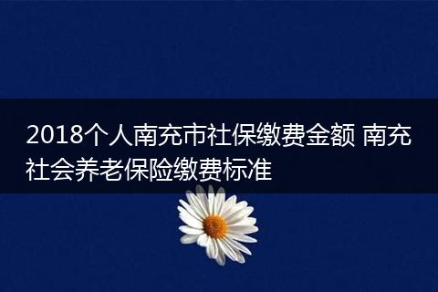 2018个人南充市社保缴费金额 南充社会养老保险缴费标准