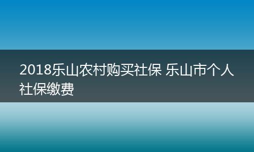 2018乐山农村购买社保 乐山市个人社保缴费