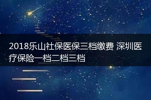2018乐山社保医保三档缴费 深圳医疗保险一档二档三档