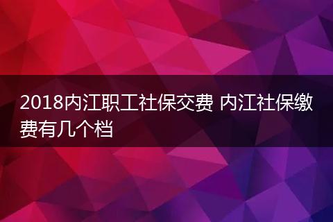 2018内江职工社保交费 内江社保缴费有几个档