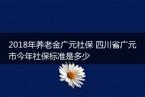 2018年养老金广元社保 四川省广元市今年社保标准是多少