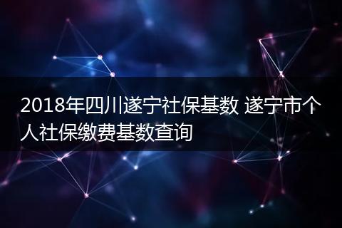 2018年四川遂宁社保基数 遂宁市个人社保缴费基数查询