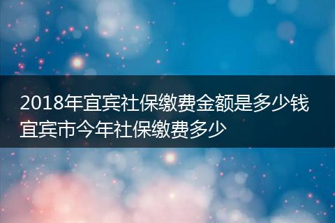 2018年宜宾社保缴费金额是多少钱 宜宾市今年社保缴费多少