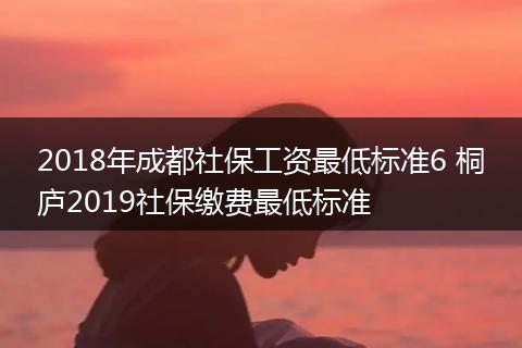 2018年成都社保工资最低标准6 桐庐2019社保缴费最低标准
