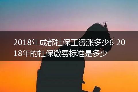 2018年成都社保工资涨多少6 2018年的社保缴费标准是多少