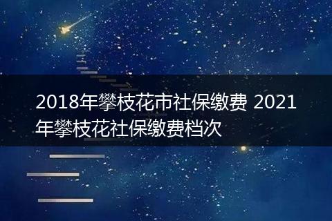2018年攀枝花市社保缴费 2021年攀枝花社保缴费档次