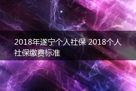 2018年遂宁个人社保 2018个人社保缴费标准