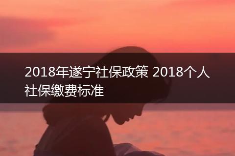 2018年遂宁社保政策 2018个人社保缴费标准
