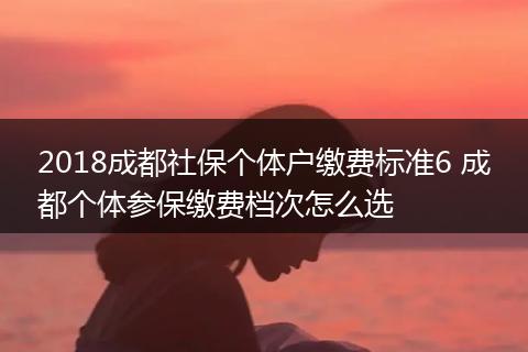 2018成都社保个体户缴费标准6 成都个体参保缴费档次怎么选
