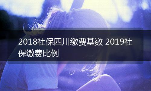 2018社保四川缴费基数 2019社保缴费比例