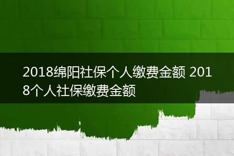 2018绵阳社保个人缴费金额 2018个人社保缴费金额