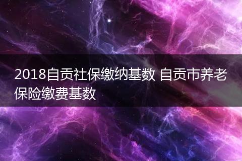 2018自贡社保缴纳基数 自贡市养老保险缴费基数