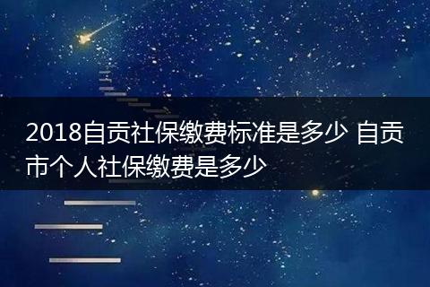 2018自贡社保缴费标准是多少 自贡市个人社保缴费是多少