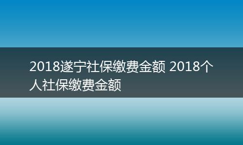 2018遂宁社保缴费金额 2018个人社保缴费金额