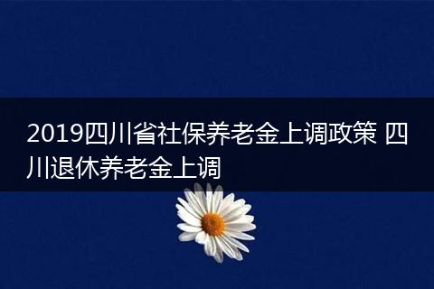 2019四川省社保养老金上调政策 四川退休养老金上调