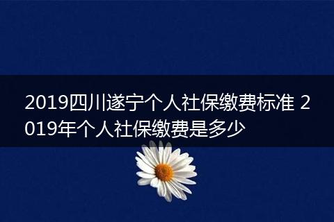 2019四川遂宁个人社保缴费标准 2019年个人社保缴费是多少