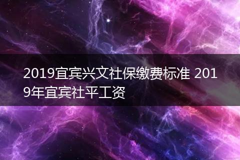 2019宜宾兴文社保缴费标准 2019年宜宾社平工资