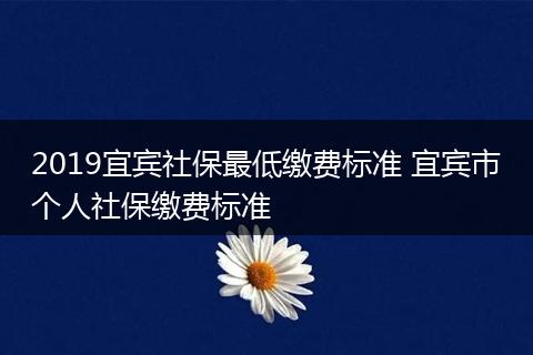 2019宜宾社保最低缴费标准 宜宾市个人社保缴费标准