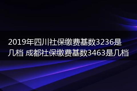 2019年四川社保缴费基数3236是几档 成都社保缴费基数3463是几档