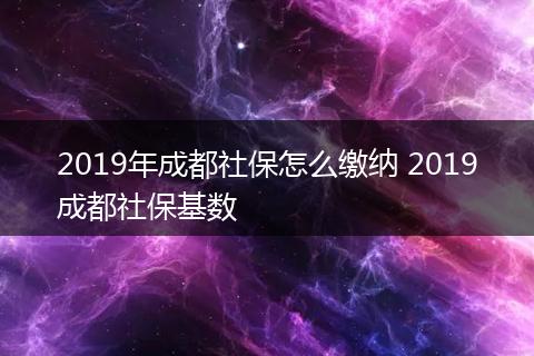 2019年成都社保怎么缴纳 2019成都社保基数
