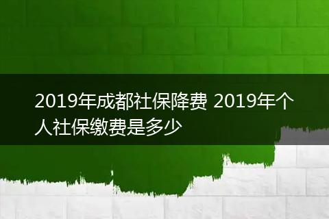 2019年成都社保降费 2019年个人社保缴费是多少