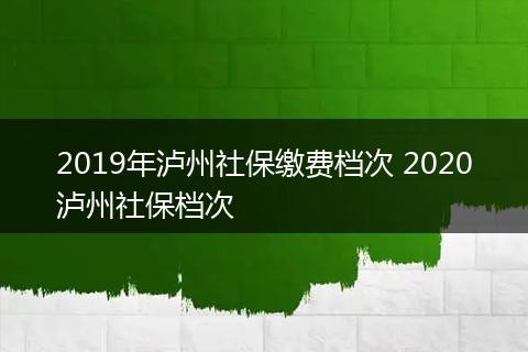 2019年泸州社保缴费档次 2020泸州社保档次
