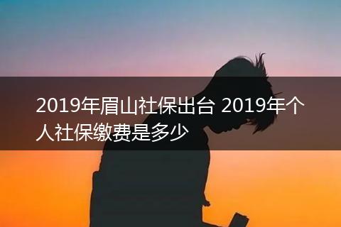 2019年眉山社保出台 2019年个人社保缴费是多少