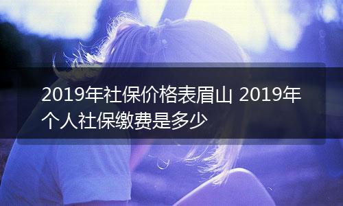 2019年社保价格表眉山 2019年个人社保缴费是多少