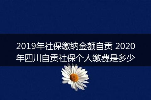 2019年社保缴纳金额自贡 2020年四川自贡社保个人缴费是多少