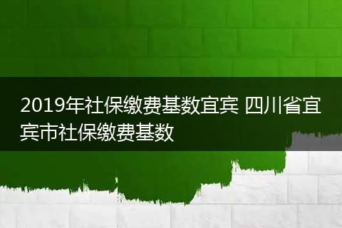 2019年社保缴费基数宜宾 四川省宜宾市社保缴费基数