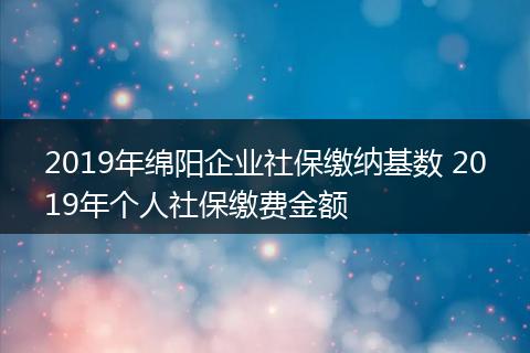2019年绵阳企业社保缴纳基数 2019年个人社保缴费金额