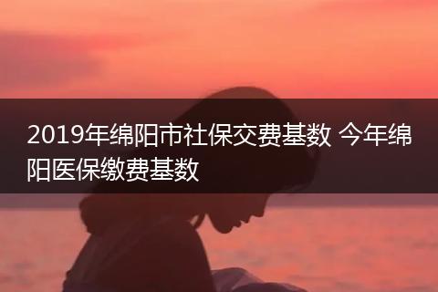 2019年绵阳市社保交费基数 今年绵阳医保缴费基数