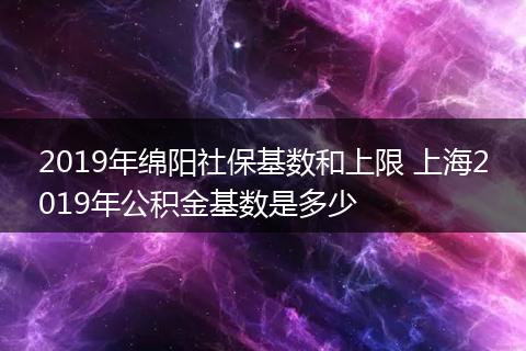 2019年绵阳社保基数和上限 上海2019年公积金基数是多少