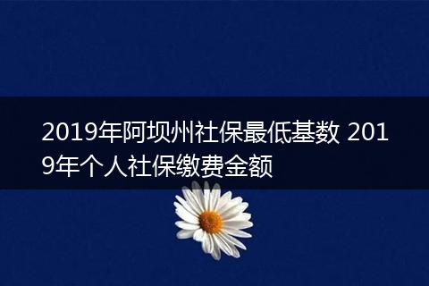 2019年阿坝州社保最低基数 2019年个人社保缴费金额