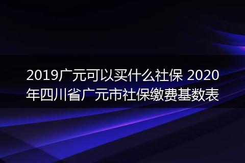 2019广元可以买什么社保 2020年四川省广元市社保缴费基数表