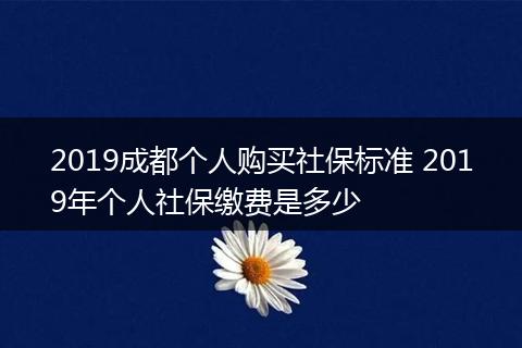 2019成都个人购买社保标准 2019年个人社保缴费是多少
